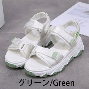 T_ fB[X  ʋ ؍ RtH[gT_  }WbNe[v X|[cT_ r[`T_ ₷ ɂȂ y T_ d T_ T_