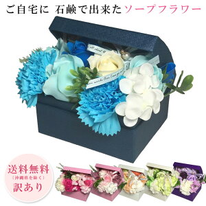 y󂠂菤izyz \[vt[ V{t[  AW{bNXS^Cv  󂠂 AEgbgi  i S6F EXC 