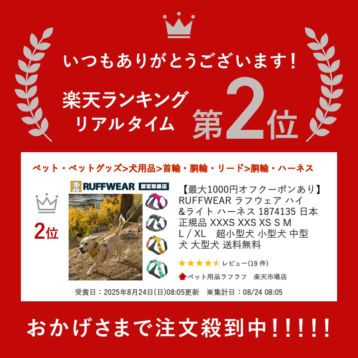 【塩サバ】リボン　ビスチェ　ハーネス Amazon | ニッサチェイン ステンビス止め端子 参考使用荷重35kg