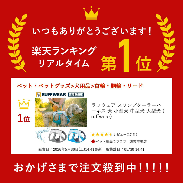 楽天市場】ラフウェア スワンプクーラーハーネス 犬 小型犬 中型犬