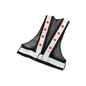 LEDSxXg (bV/) drʓr pg[pi