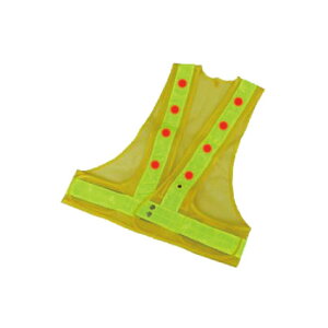 LEDSxXg (bV/) drʓr pg[pi