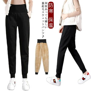 Y{ {gX N h fB[X g EGXgS  nCEGXg {A u WK[pc St h ۉ 傫TCY y  [EFA 傫TCY 