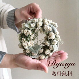楽天市場 ラムズイヤー ドライフラワーの通販