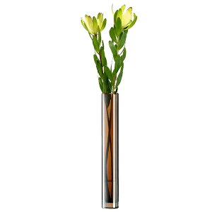 syVX[p[Z[tLSA/EPOQUE Vase Amber LEQ18@t[ x[X Ao[ i7×H48cmj YF|[h