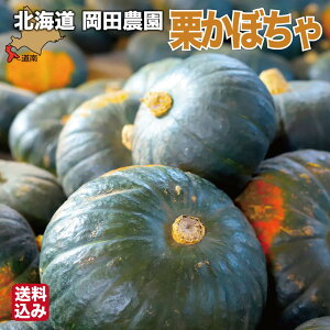 yP+2{ 0420:00-111:59z ڂ kC ubÑW[ 4-6 (1.6-2.5kg) 10kg Iڂ J{` _ ђ  Mtg c_