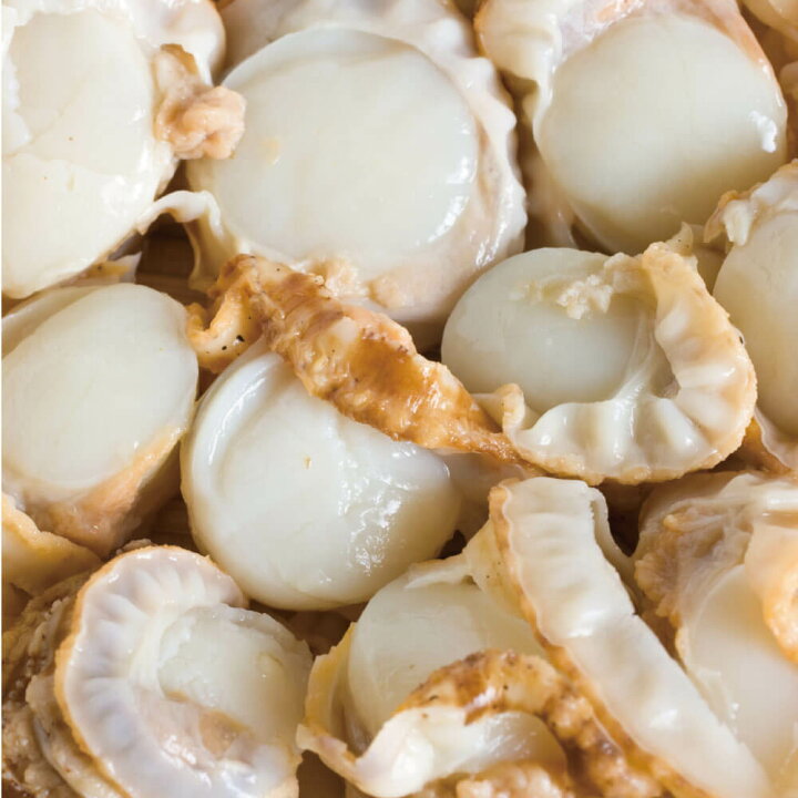 楽天市場 バレンタイン ベビーホタテ 北海道 ボイル 3kg 100 0粒 Kg 噴火湾 小分け ホタテ 稚貝 帆立 ほたて 冷凍 森町 森水産加工業協同組合 送料無料 南北海道の生産者直送店 道南地元