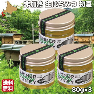 yP+2{ 1920:00-241:59z ݂͂ M Y I  80g×3  n`~c kC Ε Mtg Kn[uK[f