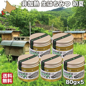 yP+2{ 0420:00-111:59z ݂͂ M Y I  80g×5  n`~c kC  Mtg Kn[uK[f