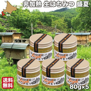 yP+2{ 0420:00-111:59z ݂͂ M Y I  80g×5  n`~c kC  Mtg Kn[uK[f
