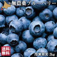 【マラソンP+2倍/8月下旬発送】 予約 無農薬 冷凍 ブルーベリー 2kg (1kg×2袋) 令和8年産 自然栽培 4種…