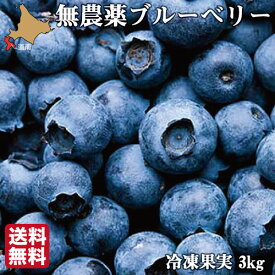 【8月下旬発送】 予約 無農薬 冷凍 ブルーベリー 3kg (1kg×3袋) 令和8年産 自然栽培 4種ブレンド 国産 北海道 ハウレット農園 産地直送 産直 フルーツ 果物 大容量 ギフト 贈り物 お取り寄せ