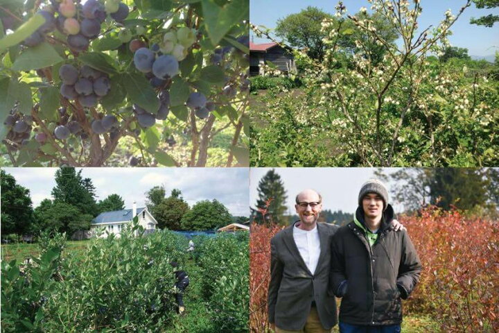 楽天市場 無農薬 冷凍 ブラックカシス 1kg 1kg 1袋 国産 北海道 北斗 自然栽培 原料 送料無料 産地直送 ハウレット農園 南北海道の生産者直送店 道南地元 楽天市場 無農薬 冷凍 ブラックカシス 1kg 1kg 1袋 国産 北海道 北斗 自然栽培 原料 送料無料 産地直送 ハウレット農園 南北海道の生産者直送店 道南地元