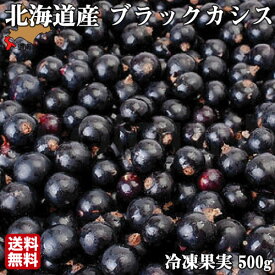 【8月下旬より発送/予約】 無農薬 ブラックカシス 500g 冷凍 令和8年産 北海道 自然栽培 国産 ハウレット農園 産地直送 産直 フルーツ スムージー ジャム お取り寄せ ギフト 敬老の日 お歳暮