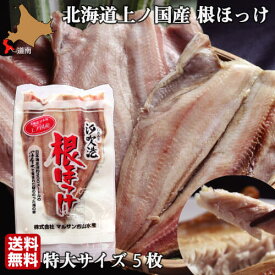 ほっけ 北海道 開き 特大サイズ 5尾 魚 生冷凍 通販 国産 上ノ国 根ほっけ ホッケ 脂 肉厚 干物ではなく生を急速冷凍 送料無料