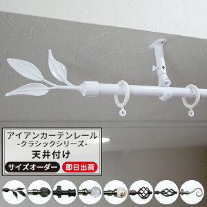 天井 カーテンレール 通販 価格比較 価格 Com