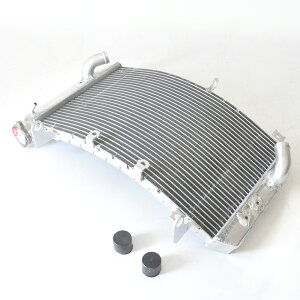 WG[^[ WG^[ pN[[ YZF-R1 YZFR1 YZF R1 2015-2019 I[goCANZT[ YZF-R1 A~ 2016 2017 2018 }n YAMAHA 