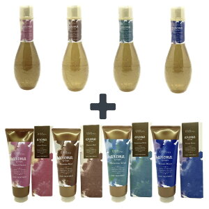 DEMI f~ HAIR SEASONS aroma syrups wAV[YY A}VbvX Shampoo Vv[ 250ml & Treatment g[gg 240g