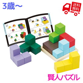 楽天市場 立体 ブロック パズルの通販