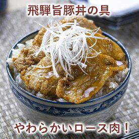 【発送まで1ヶ月ほどかかります】　飛騨旨豚丼の具　【冷凍便】　サイトウハム　無添加　お惣菜