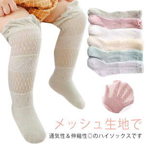 4Zbg C xr[ nC\bNX \bNX bV   LbY WjA O I[o[j[ bV ҂ キ  qpC Ԃ c j̎q 