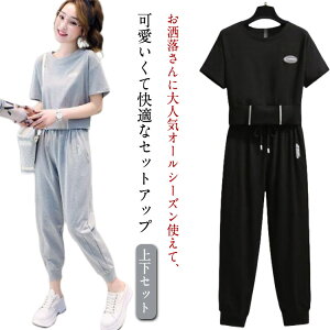 fB[X ZbgAbv W[WZbg XEFbg ㉺Zbg TVc Opc g[i[ W[W ㉺Zbg@^ XGbg X|[cEFA t  [EFA  TV