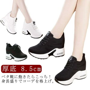 Xj[J[ fB[X  y C  Xj[J[ Xj[J[    C\[Xj[J[ V[NbgV[Y _bhXj[J[ H~ EH[LOV[Y r 8.5cm 