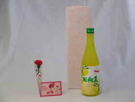 母の日 ギフトセット リキュールセット (爽やかな果肉の甘み日向夏みかんを使用 高千穂酒造 宮崎産日向夏みかん使用 日向夏 500ml(宮崎県)) 母の日カード お母さんありがとうカーネイション付き