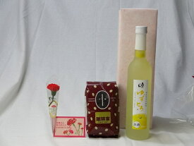 【最大2000円オフクーポン11日1:59迄】母の日 ギフトセット リキュールセット(とろり果汁・果肉とお米のうまみが見事にコラボした ゆずとろ500ml(福島県)+オススメ珈琲豆(特注ブレンド200g)) 母の日カード お母さんありがとうカーネイション付き
