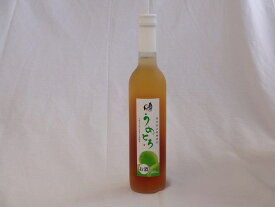 完熟梅の味わいと日本酒のうまみをたっぷりの梅リキュール　うめとろ 500ml