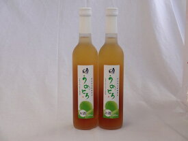 完熟梅の味わいと日本酒のうまみをたっぷりの梅リキュール 500ml×2本