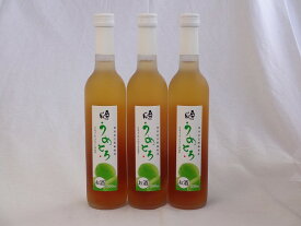完熟梅の味わいと日本酒のうまみをたっぷりの梅リキュール　うめとろ　500ml×3本