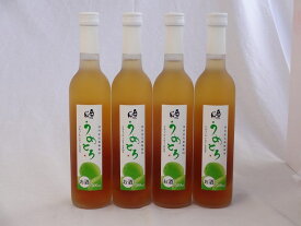 完熟梅の味わいと日本酒のうまみをたっぷりの梅リキュール　うめとろ　500ml×4本