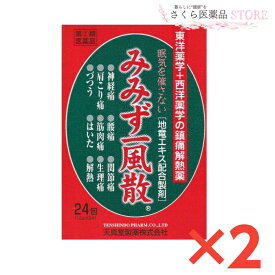 【指定第2類医薬品】みみず一風散 アセトアミノフェン地竜エキス 24包 2個セット 天真堂製薬 奈良 みみず 持続