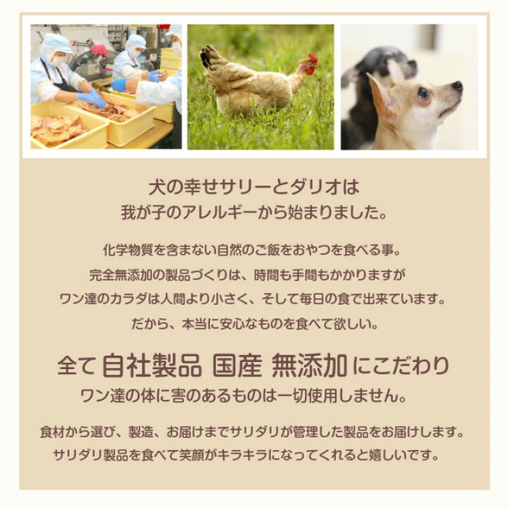 楽天市場 グルテンフリー ドッグフード 無添加 国産 選べる ソノママフード チキン サーモン 鹿 犬 ご飯 ノングルテン 小粒 皮膚 涙やけ 腎臓 関節 ダイエット 低カロリー 小型犬 中型犬 大型犬 犬 おやつ サリダリ タイムセール 楽天スーパーsale 犬の幸せ サリーとダリオ