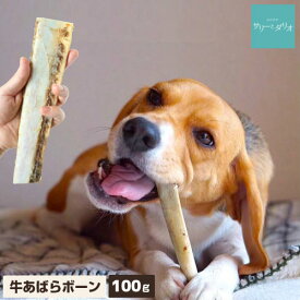 楽天市場 犬 おやつ ガム 牛皮の通販