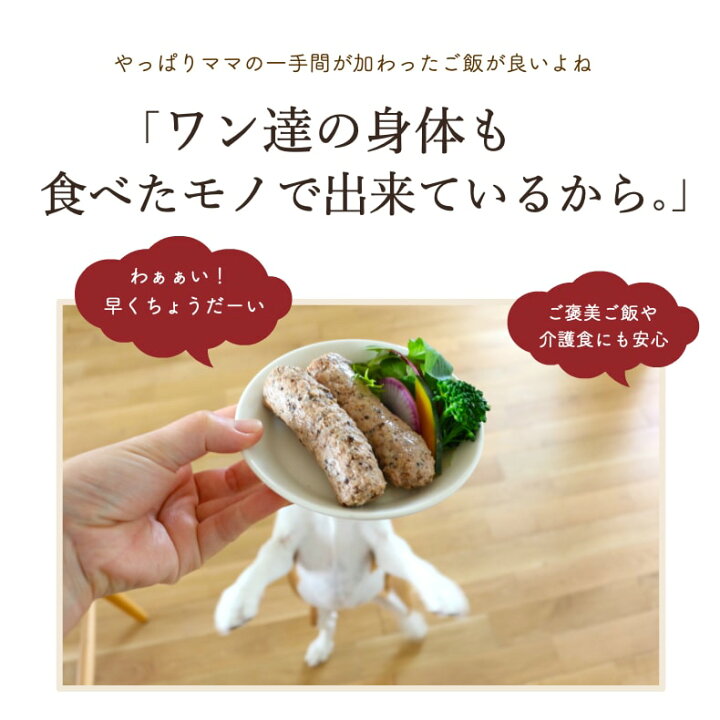 楽天市場 ドッグフード アレルギー 無添加 国産 豚 ソーセージ 10袋 犬 おやつ グルテンフリー ウェットフード レトルト 手作りご飯 トッピング おやつ 豚レバー オメガ3 Dha Epa 小型犬 シニア 老犬 介護食 サリダリ 送料無料 犬の幸せ サリーとダリオ