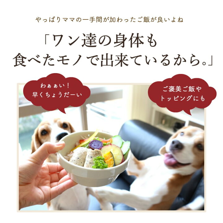 楽天市場 ドッグフード アレルギー 無添加 国産 ささみ ソーセージ 1袋 犬 おやつ グルテンフリー ウェットフード レトルト 手作りご飯 トッピング おやつ 鶏 ササミ えごま Dha Epa 小型犬 中型犬 シニア 老犬 介護食 サリダリ 送料無料 犬の幸せ サリーとダリオ