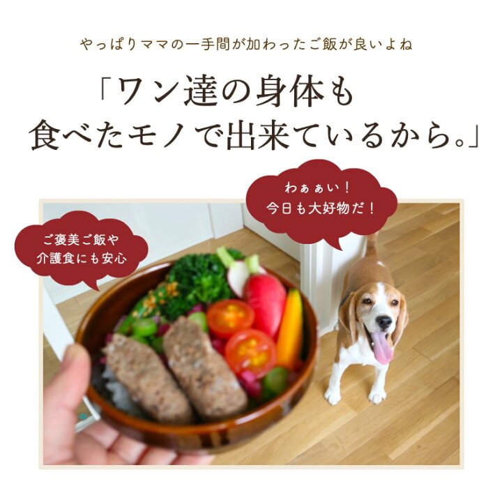 楽天市場 ドッグフード アレルギー 無添加 国産 牛 ソーセージ 5袋 犬 おやつ グルテンフリー ウェットフード 犬用 レトルト 手作りご飯 トッピング おやつ レバー エゴマ Dha Epa 小型犬 中型犬 老犬介護食 サリダリ 送料無料 犬の幸せ サリーとダリオ