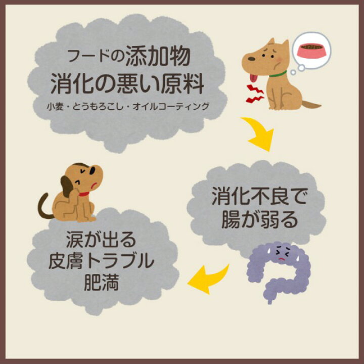 楽天市場 グルテンフリー ドッグフード 無添加 国産 アレルギー対策ソノママフード お試し 170g 選べる 鶏 鮭 鹿 アレルギーケア 腎臓ケア 肥満 低ナトリウム 小型犬 中型犬 大型犬 老犬 体重管理 ダイエット フード サリダリ 犬の幸せ サリーとダリオ