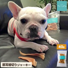 犬 おやつ 無添加 国産 お試し 豚耳細切り 【40g】 豚耳 ジャーキー スライス カット 脂抜き 低脂肪 肥満 毛艶 関節ケア 歯石ケア 歯磨き 口臭 コラーゲン 小型犬 中型犬 大型犬 小袋 オヤツ サリダリ