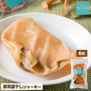 ؎ Y  Y  6 p lߍ킹 Ԃ݂  F J[ ᎉb 얞 щ ΃PA Ώ  L d  ^ ^ ^ hbOt[h T