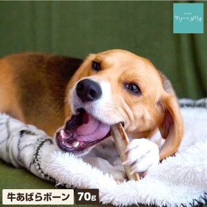   Y Y ΂{[ 70g(1`2{) Ώ Ύ  L J[ d  ΂獜 XyAu ^ ^ ^ AM[ T_