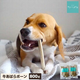 犬 おやつ 無添加 国産 牛あばらボーン 【800g・400g2袋】 歯石除去 歯石取り 歯磨き 口臭 低カロリー 硬いおやつ 長持ち あばら骨 スペアリブ 牛リブ ボーン 小型犬 中型犬 大型犬 詰め合わせ オヤツ サリダリ