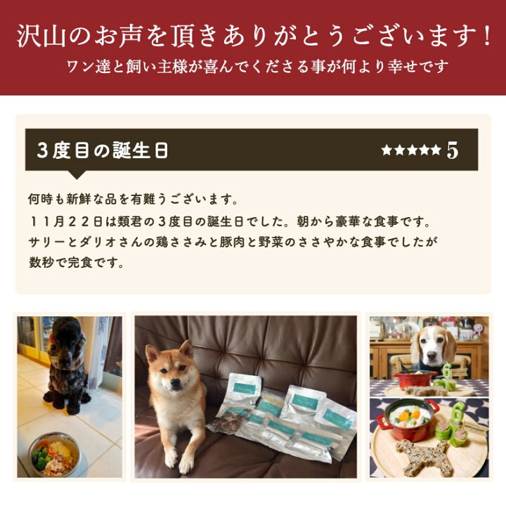 楽天市場 5 クーポン ウェットフード 犬 無添加 国産 鶏 ささみレトルト 1袋 アレルギー ドッグフード おやつ グルテンフリー 犬用レトルト 手作りご飯 トッピング 低脂肪 低カロリー ダイエット 小型犬 中型犬 老犬 介護食 サリダリ 送料無料 楽天スーパーセール