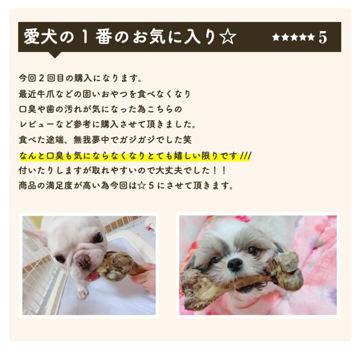犬 歯石取り 1 2本 70g おやつ お買い物マラソン オヤツ サリダリ ストレス発散 リブボーン 中型犬 口臭 国産 大型犬 小型犬 歯石除去 歯磨きガム 無添加 牛あばらボーン 予約受付中 オヤツ