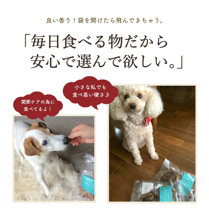 楽天市場 ドッグフード 犬 おやつ 無添加 国産 豚のど軟骨 140g ジャーキー チップ アレルギー 関節 毛艶 ケア 歯磨き ハミガキ 歯石 柔らかい 小型犬 中型犬 大型犬 シニア 老犬 高齢犬 サリダリ 送料無料 犬の幸せ サリーとダリオ