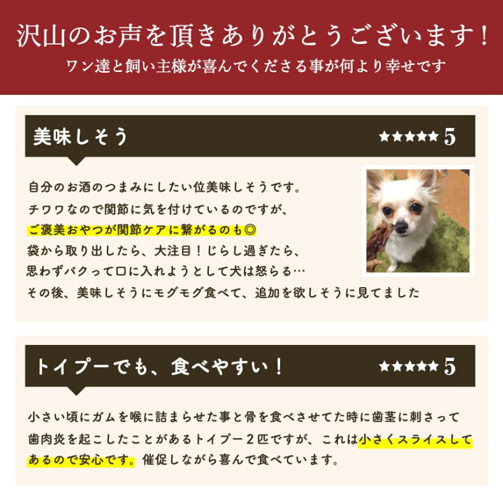 楽天市場 5 クーポン ブラックフライデー ドッグフード 犬 おやつ 無添加 国産 豚のど軟骨 140g ジャーキー チップ アレルギー 関節 毛艶 ケア 歯磨き ハミガキ 歯石 柔らかい 小型犬 中型犬 大型犬 シニア 老犬 高齢犬 サリダリ 送料無料 犬の幸せ サリーとダリオ