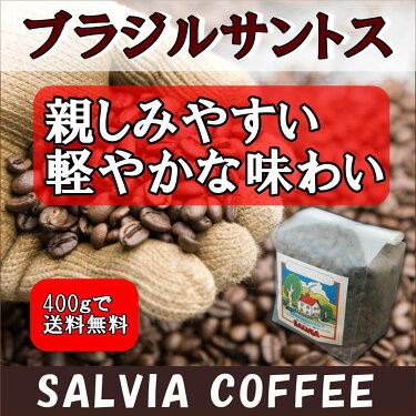ブラジル・サントス500g