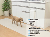 説明文